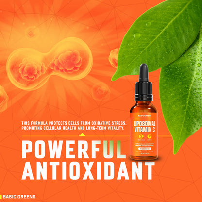 BASIC GREENS Liposomal Vitamin C Liquid – High Absorption Immune Support & Antioxidant Boost | Advanced Liposomal Delivery, Non-GMO, Vegan-Friendly Vitamin C Supplement, 4 Fl Oz (Copy)