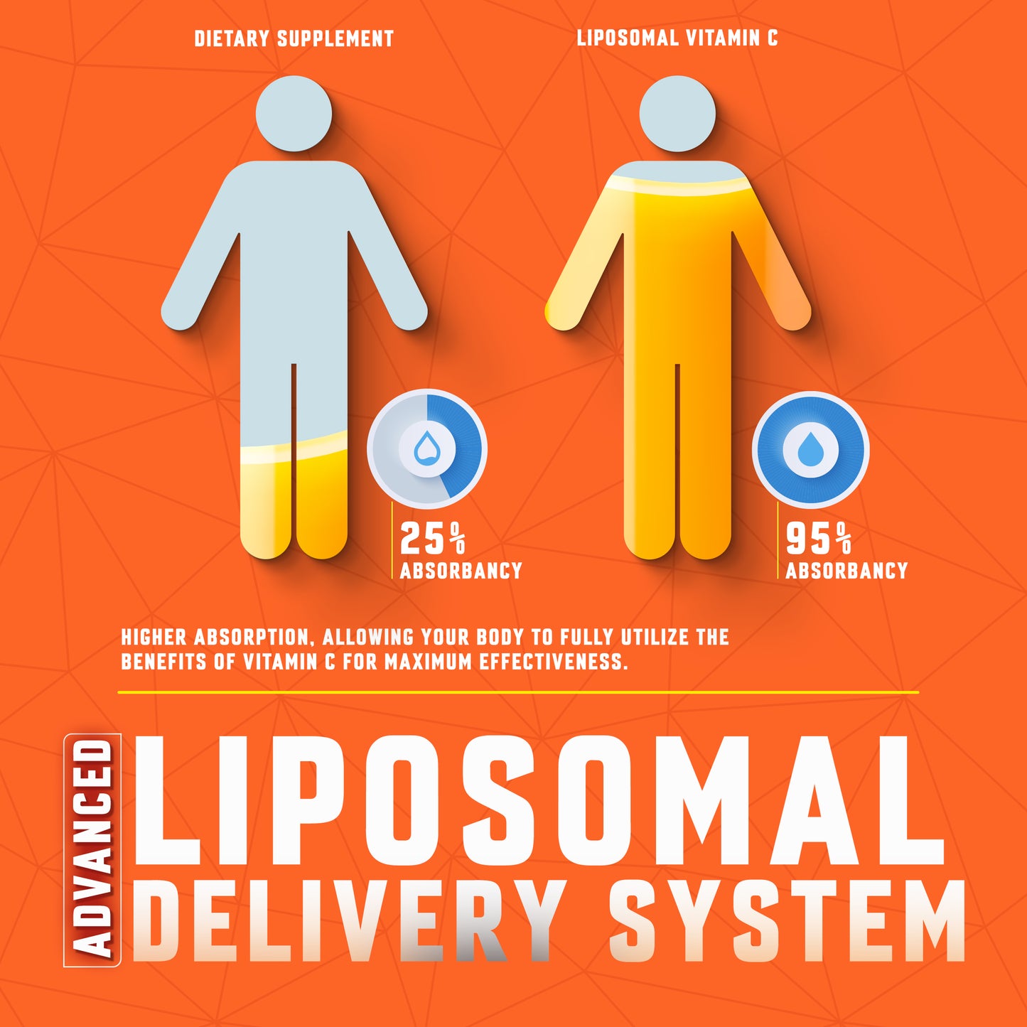 BASIC GREENS Liposomal Vitamin C Liquid – High Absorption Immune Support & Antioxidant Boost | Advanced Liposomal Delivery, Non-GMO, Vegan-Friendly Vitamin C Supplement, 4 Fl Oz (Copy)